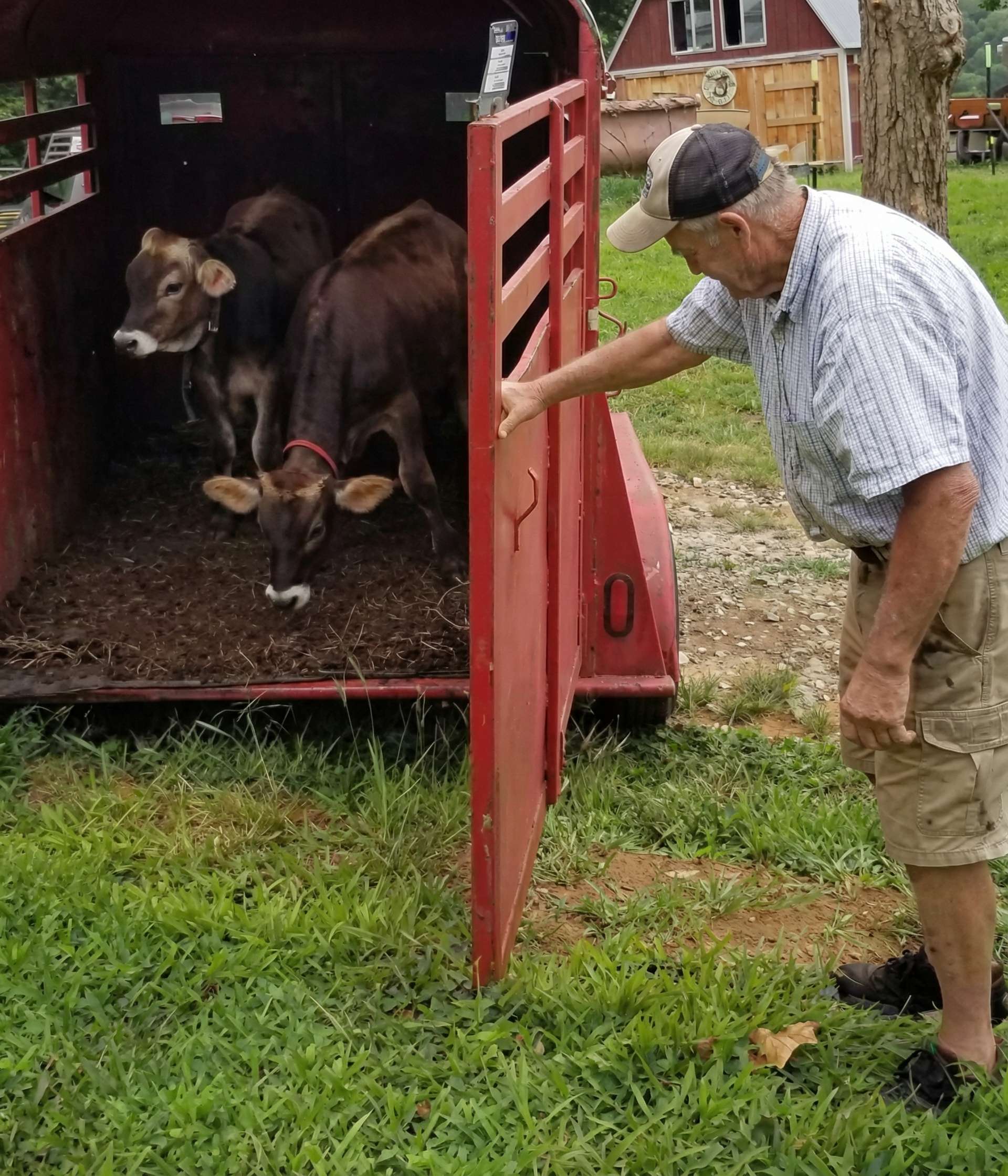Portrait of Yudhisthira das ACBSP